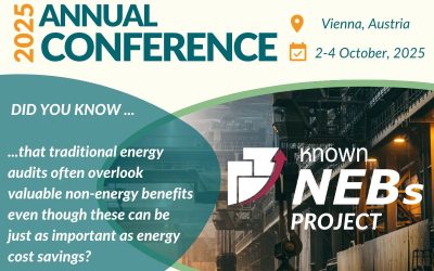 Rethinking Energy Audits: Are We Missing the Bigger Picture?